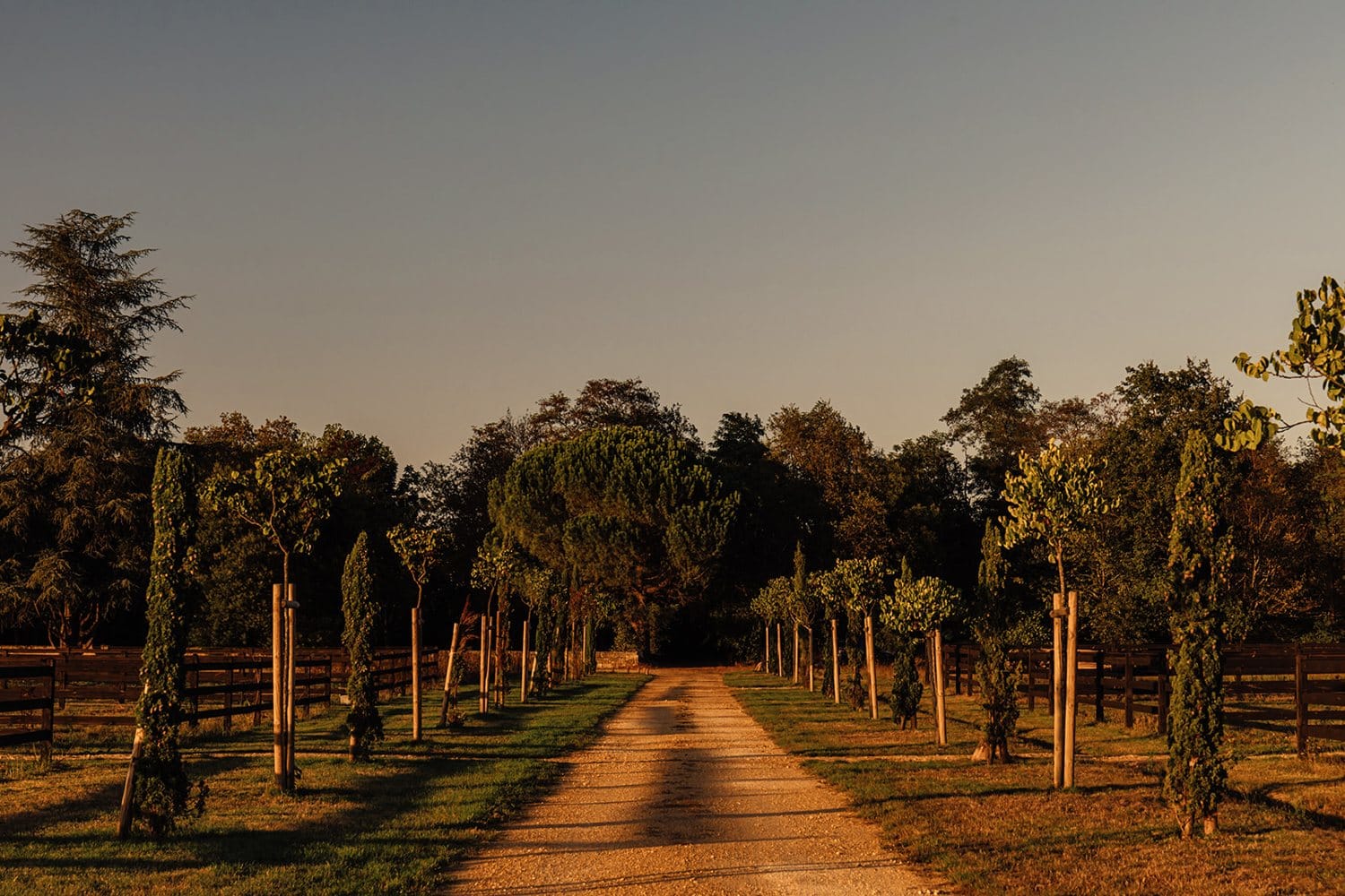 Allée arborée du Domaine de Beaulieu