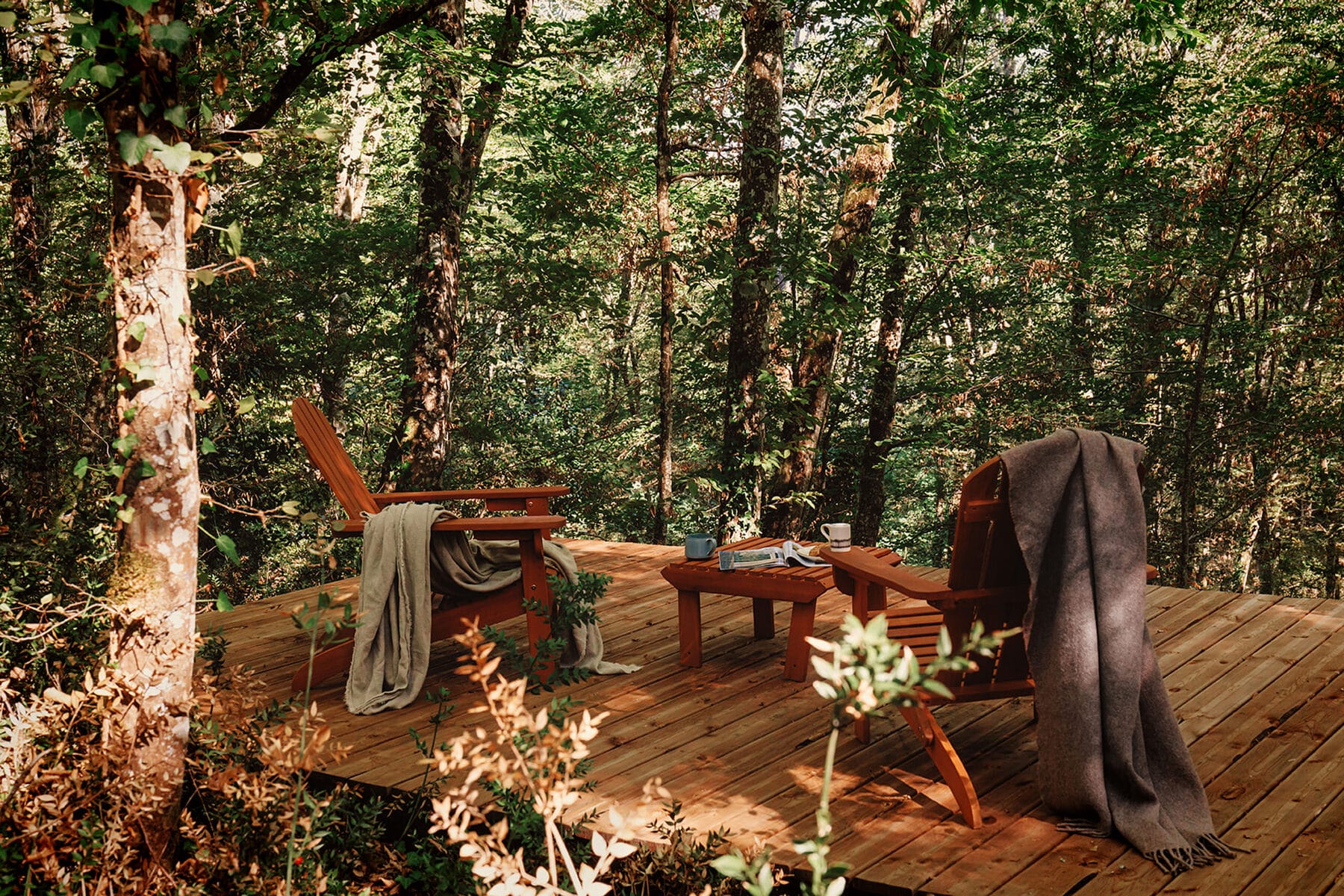 Terrasse en forêt