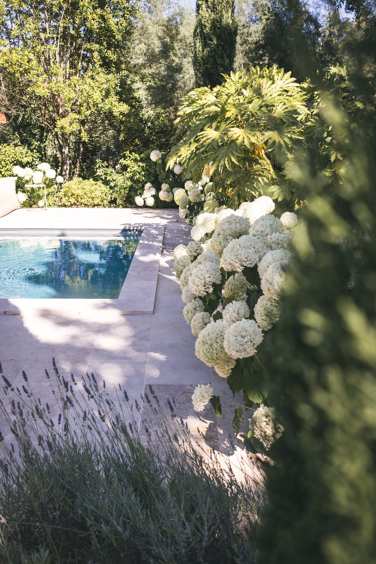 Piscine et hortensias