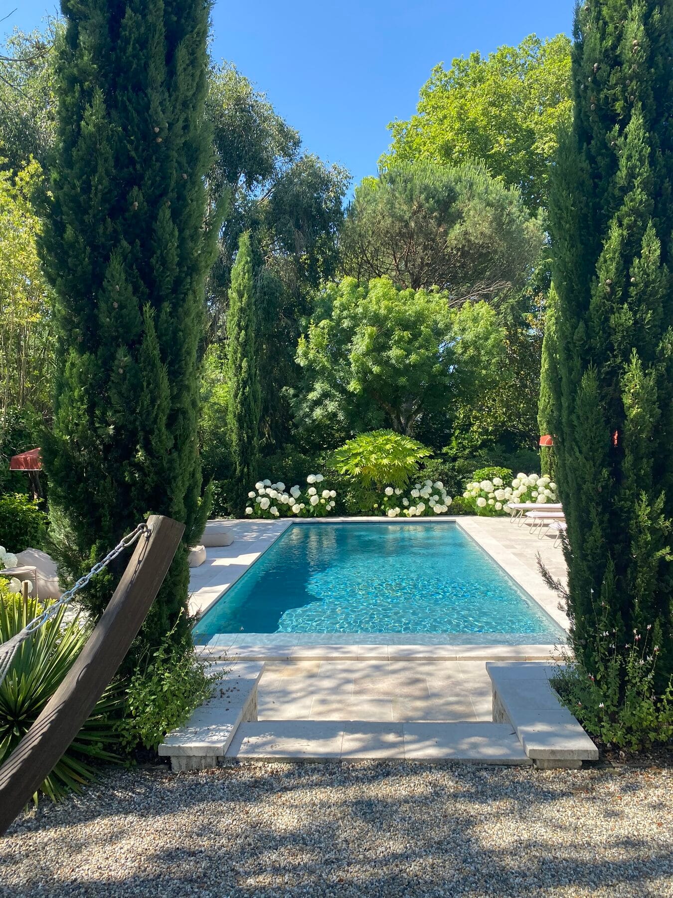 Piscine et cyprès